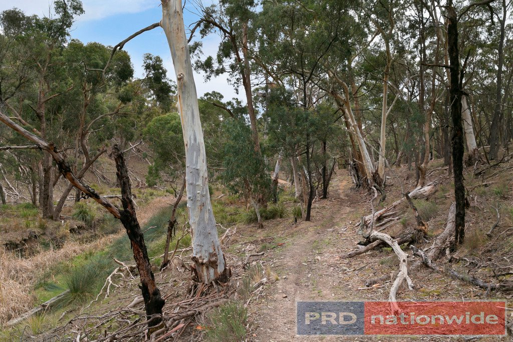 Lots 1 & 2 Snowgum Road DEREEL 2