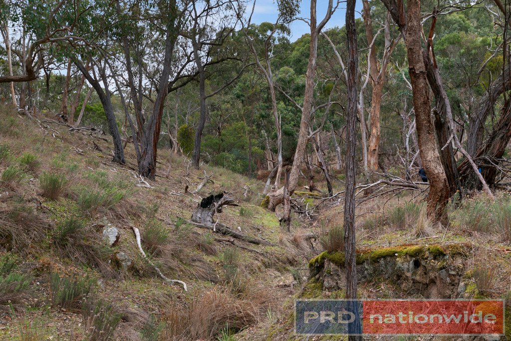 Lots 1 & 2 Snowgum Road DEREEL 4