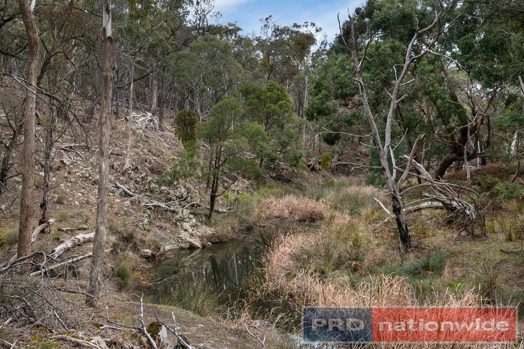 Lots 1 & 2 Snowgum Road DEREEL 5