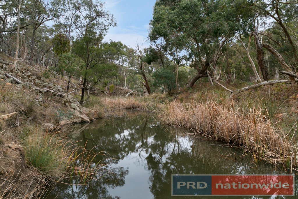 Lots 1 & 2 Snowgum Road DEREEL 7