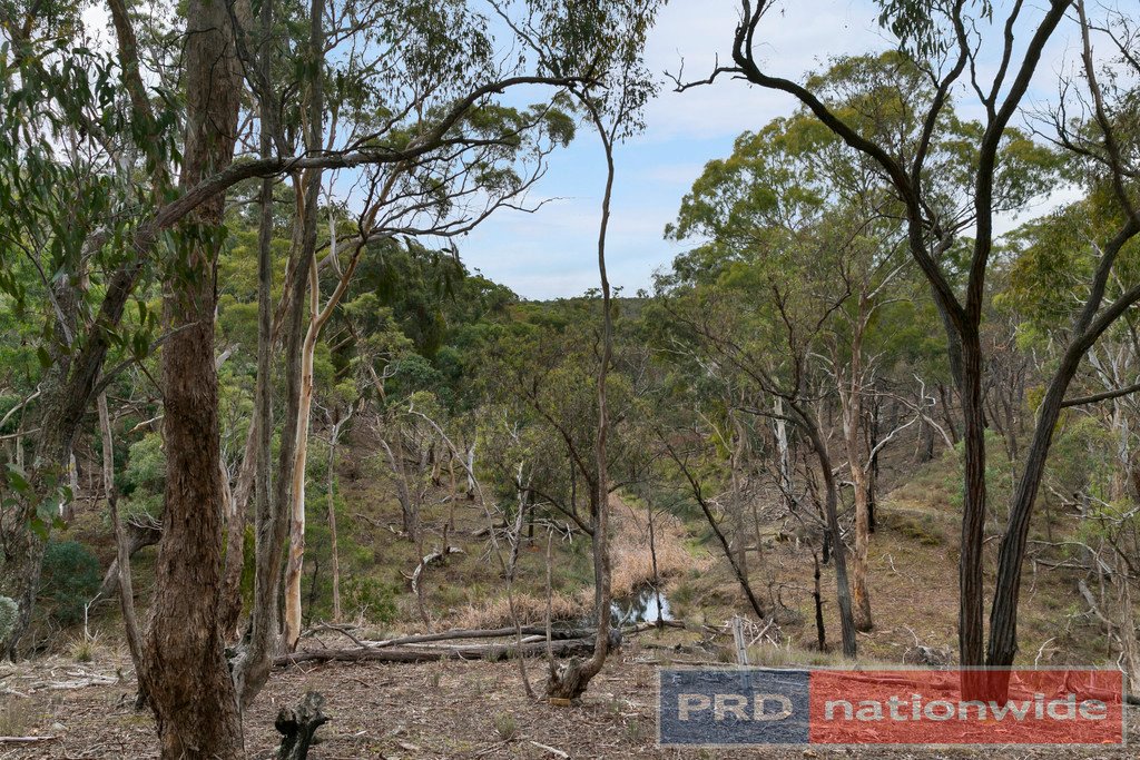 Lots 1 & 2 Snowgum Road DEREEL 9
