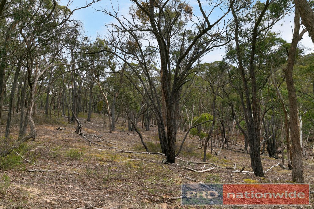 Lots 1 & 2 Snowgum Road DEREEL 10
