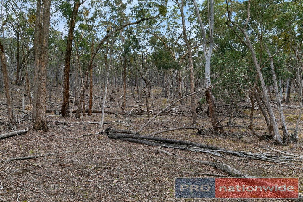 Lots 1 & 2 Snowgum Road DEREEL 11