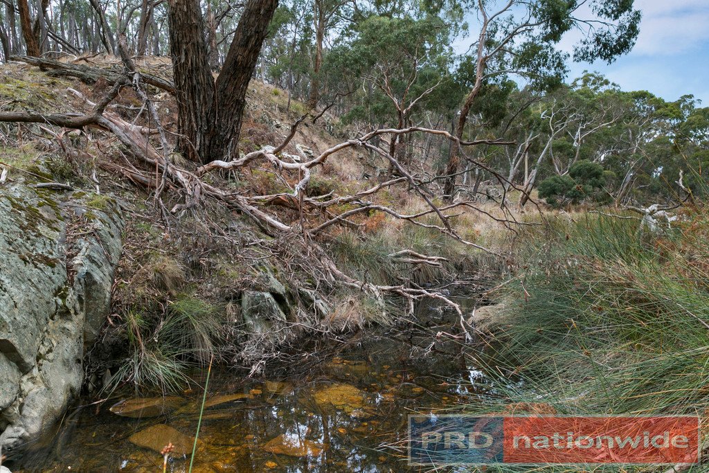 Lots 1 & 2 Snowgum Road DEREEL 13