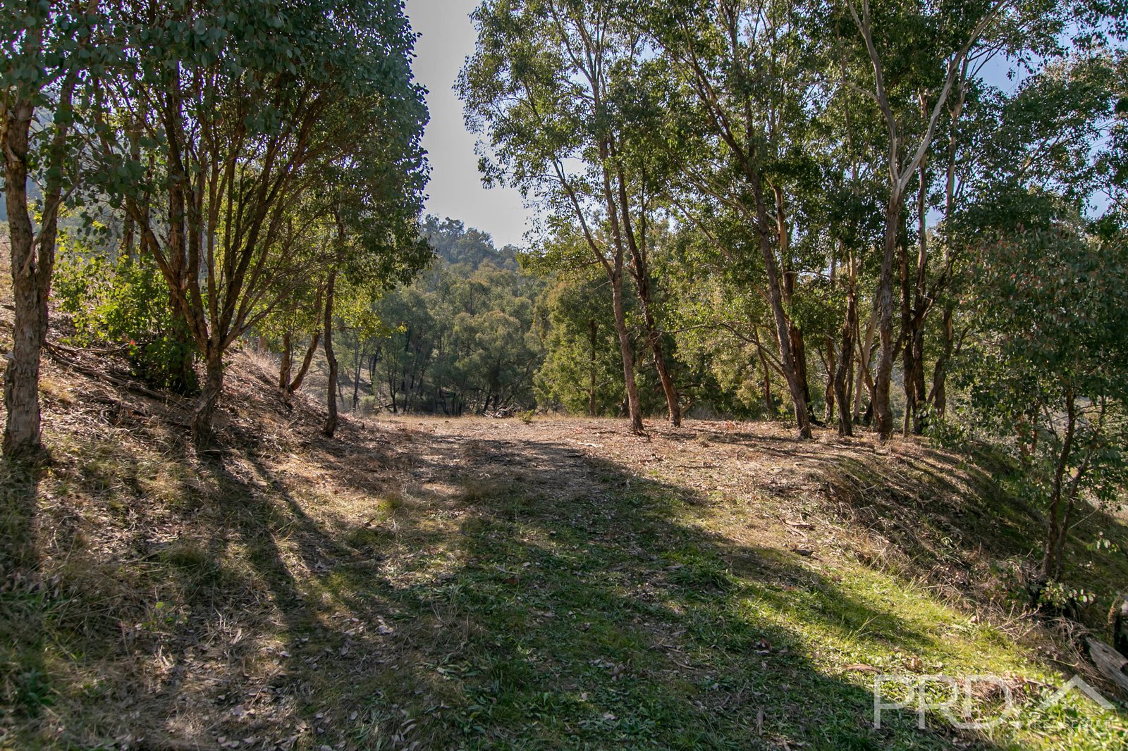 Lots 13 & 16 Wallaby Lane GOCUP 4