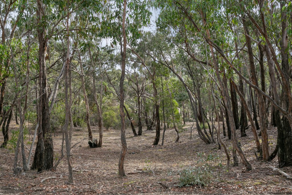 Lots 13B,13D, 13E & 13F Donald McLeans Road BERRINGA 6