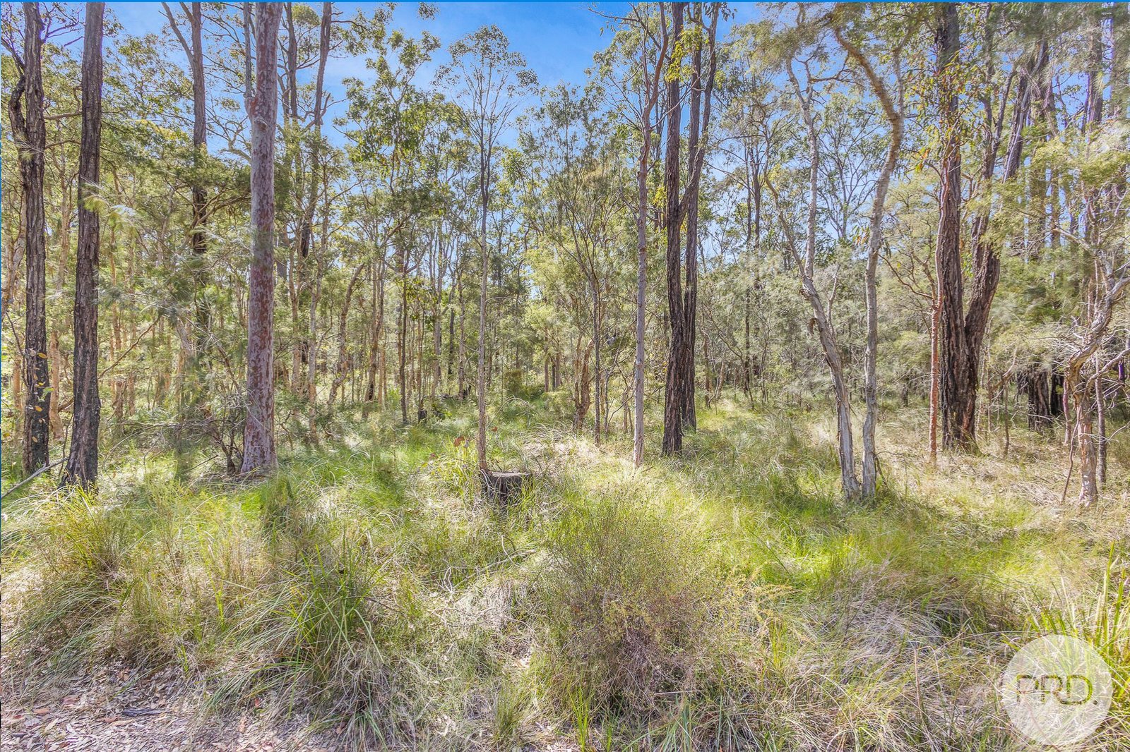 LOTS 242 & 243 Nemingha Parade NORTH ARM COVE 3