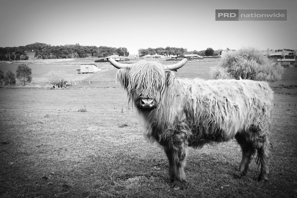 Lots 29 & 30 Ramsay Road TUMBARUMBA 2