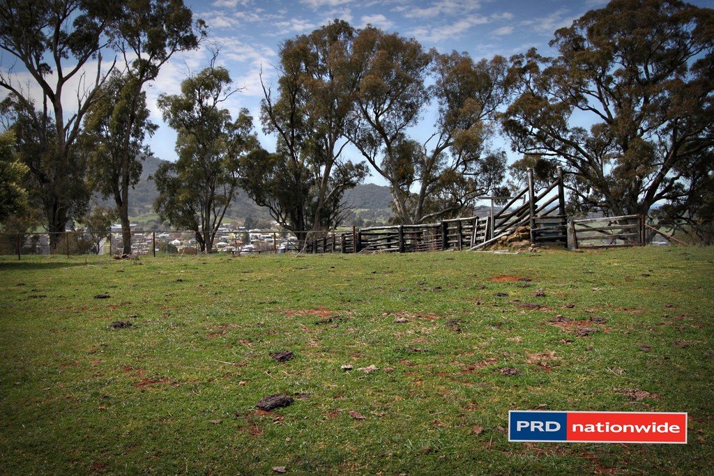 Lots 29 & 30 Ramsay Road TUMBARUMBA 4