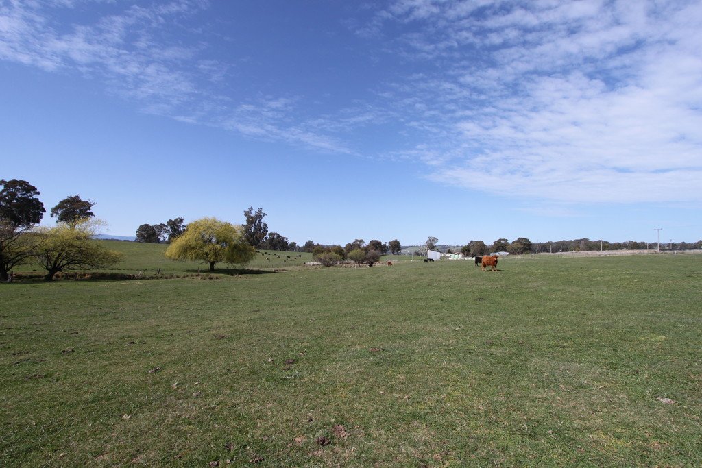 Lots 29 & 30 Ramsay Road TUMBARUMBA 7