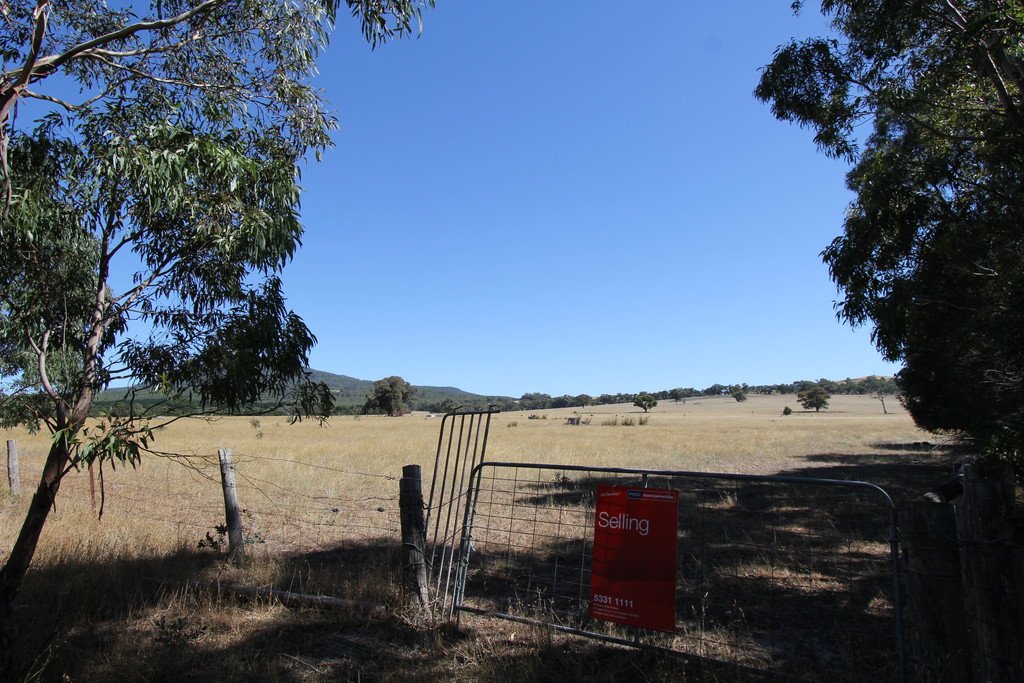 Lots 3 & 4 Tip Road RAGLAN 3