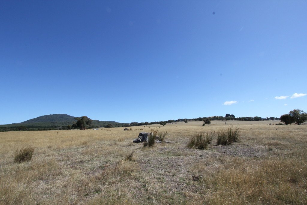 Lots 3 & 4 Tip Road RAGLAN 5