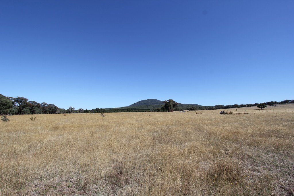 Lots 3 & 4 Tip Road RAGLAN 6