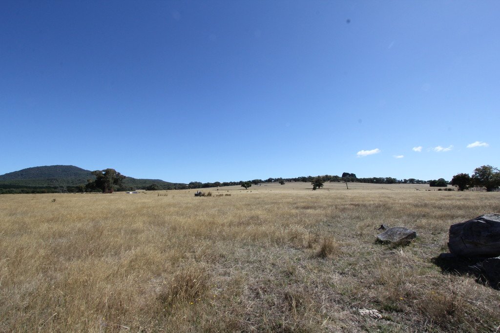 Lots 3 & 4 Tip Road RAGLAN 7