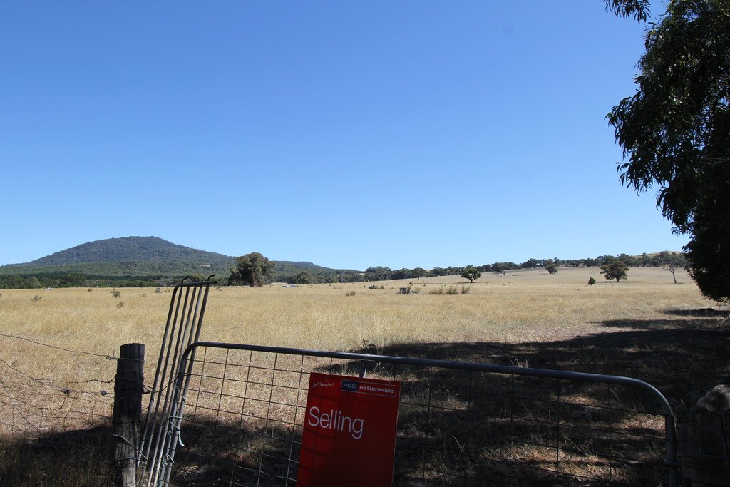 Lots 3 & 4 Tip Road RAGLAN 8