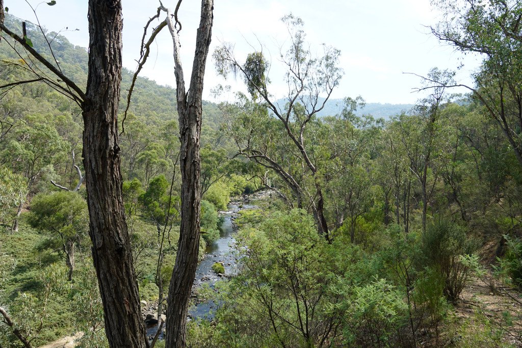 Lots 4 & 5 Tooma  TUMBARUMBA 1