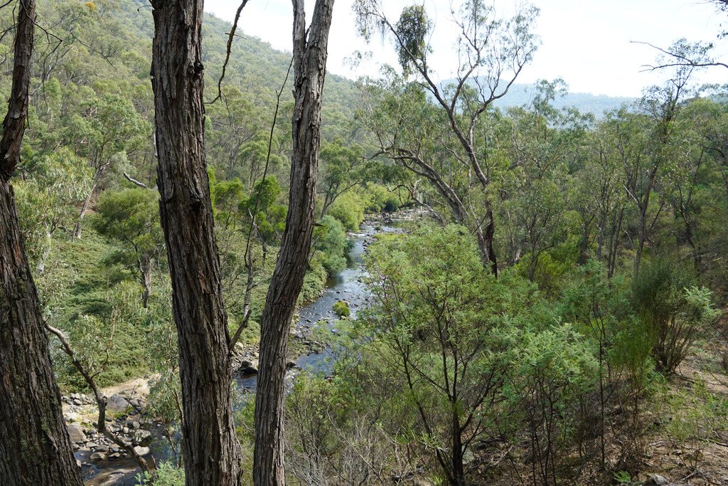 Lots 4 & 5 Tooma  TUMBARUMBA 9