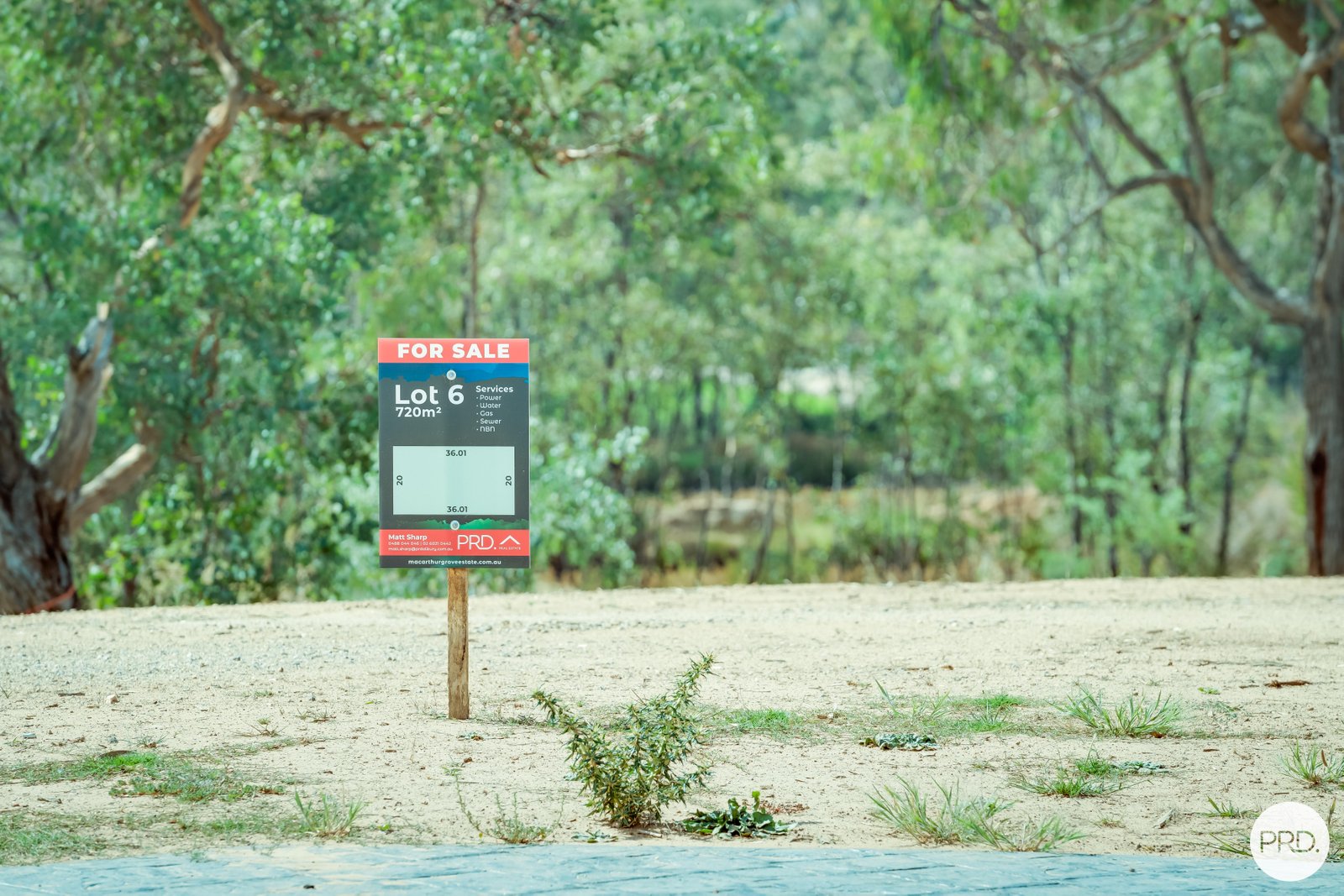  Macarthur Street LAVINGTON 7