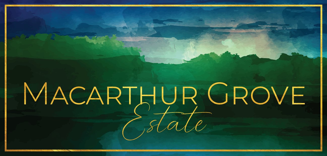  Macarthur Street LAVINGTON 8