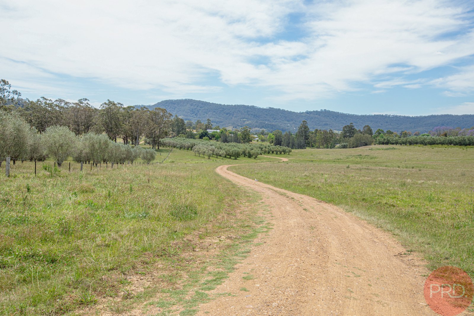  MAITLAND VALE 8