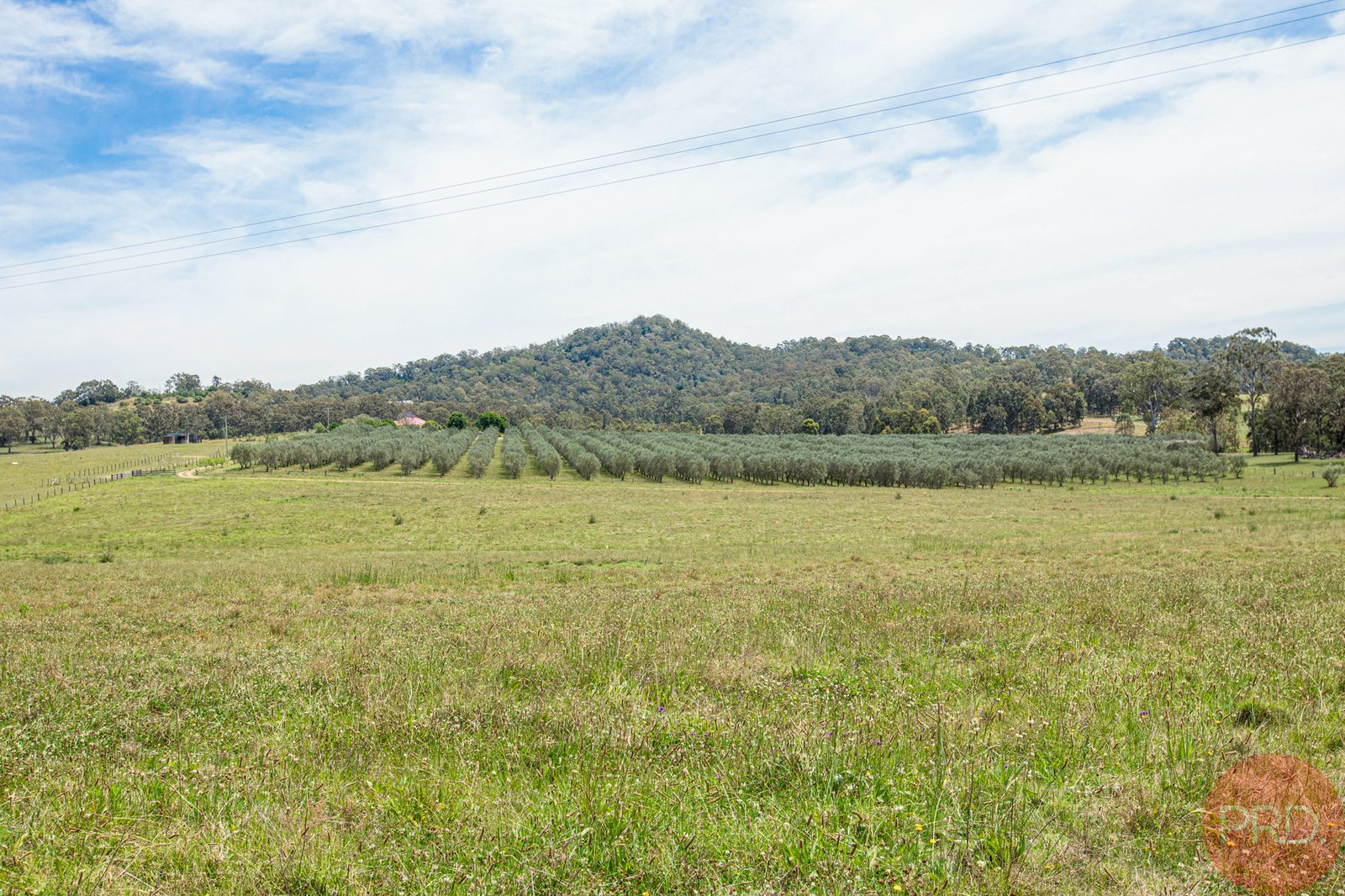 MAITLAND VALE 16