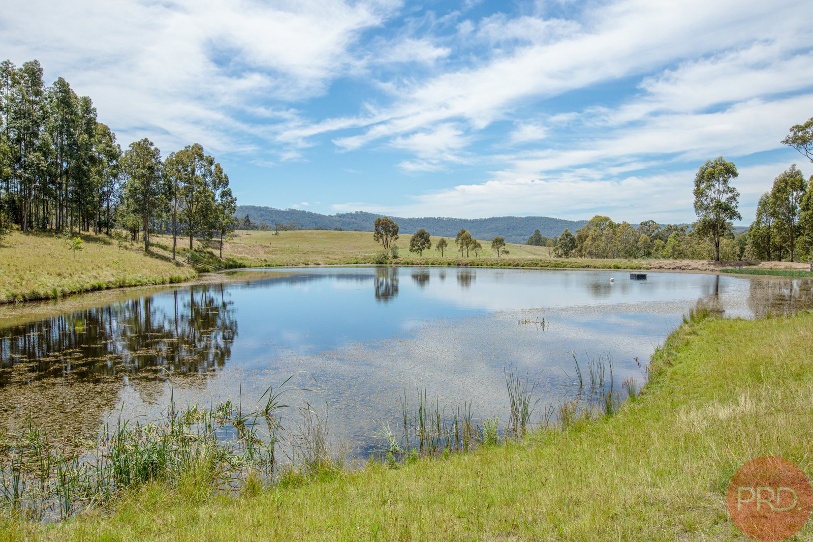  MAITLAND VALE 28