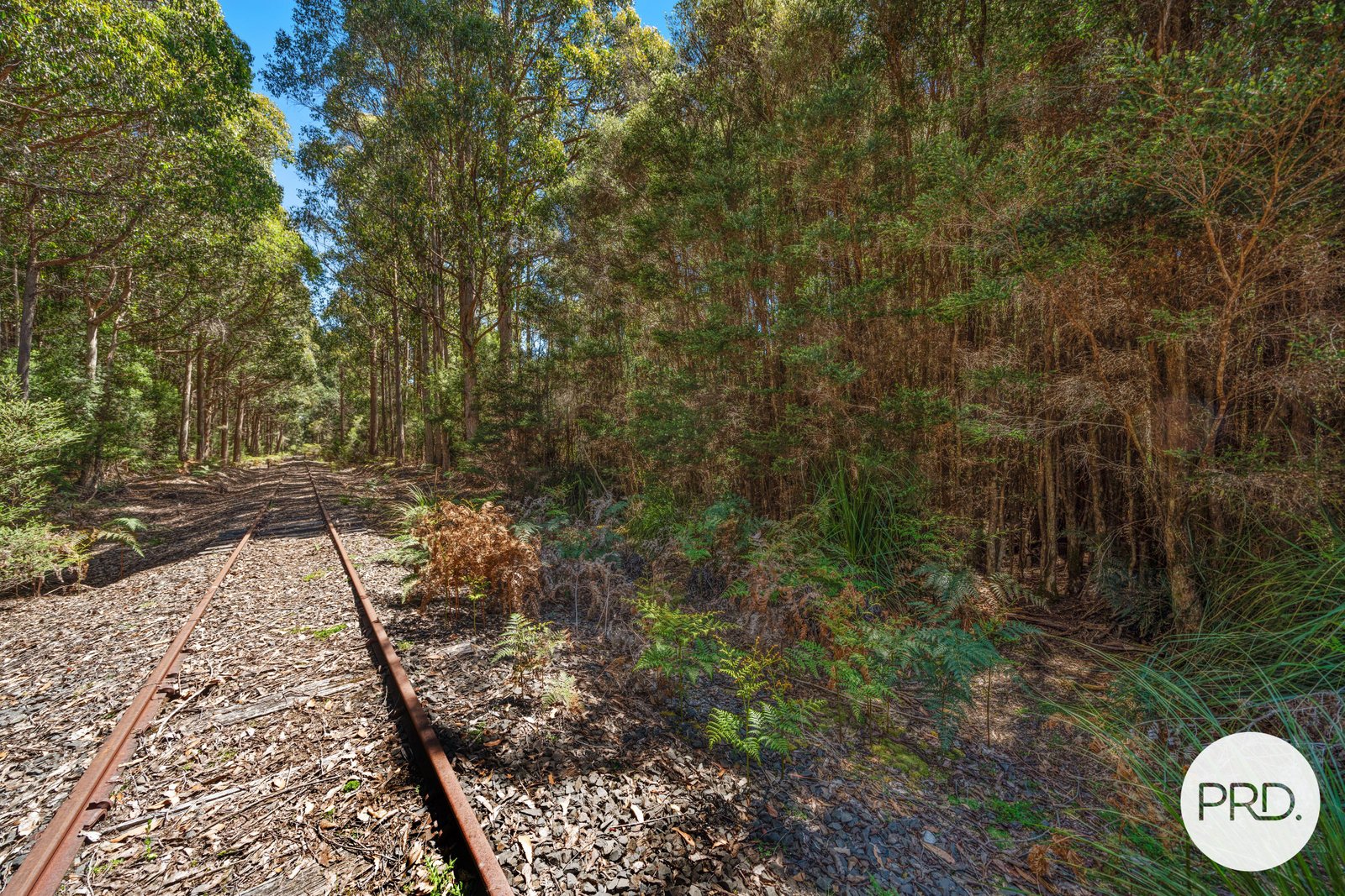 Off Gordon River Road TYENNA 2