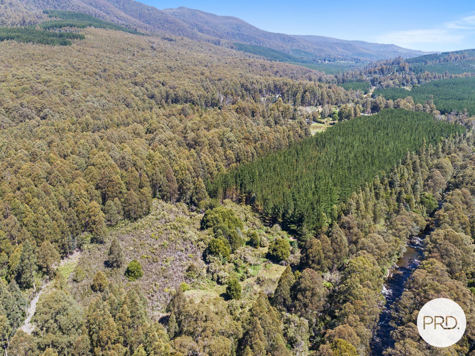 Off Gordon River Road TYENNA 3