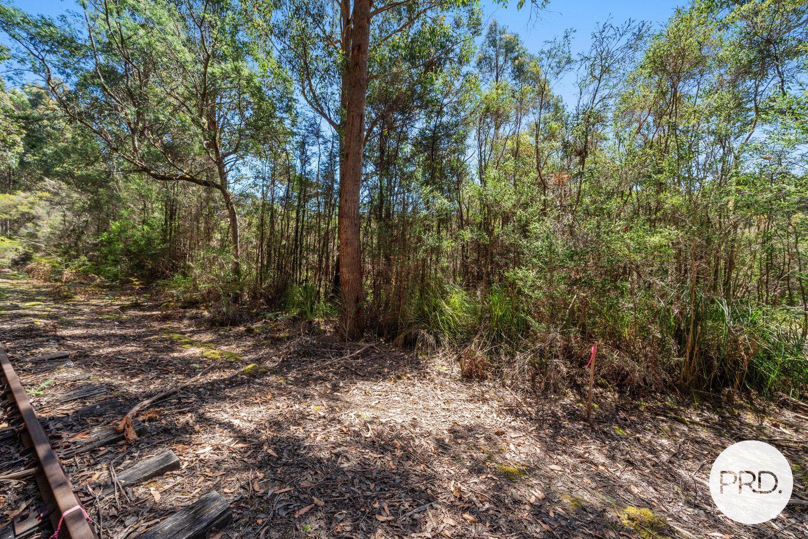 Off Gordon River Road TYENNA 5