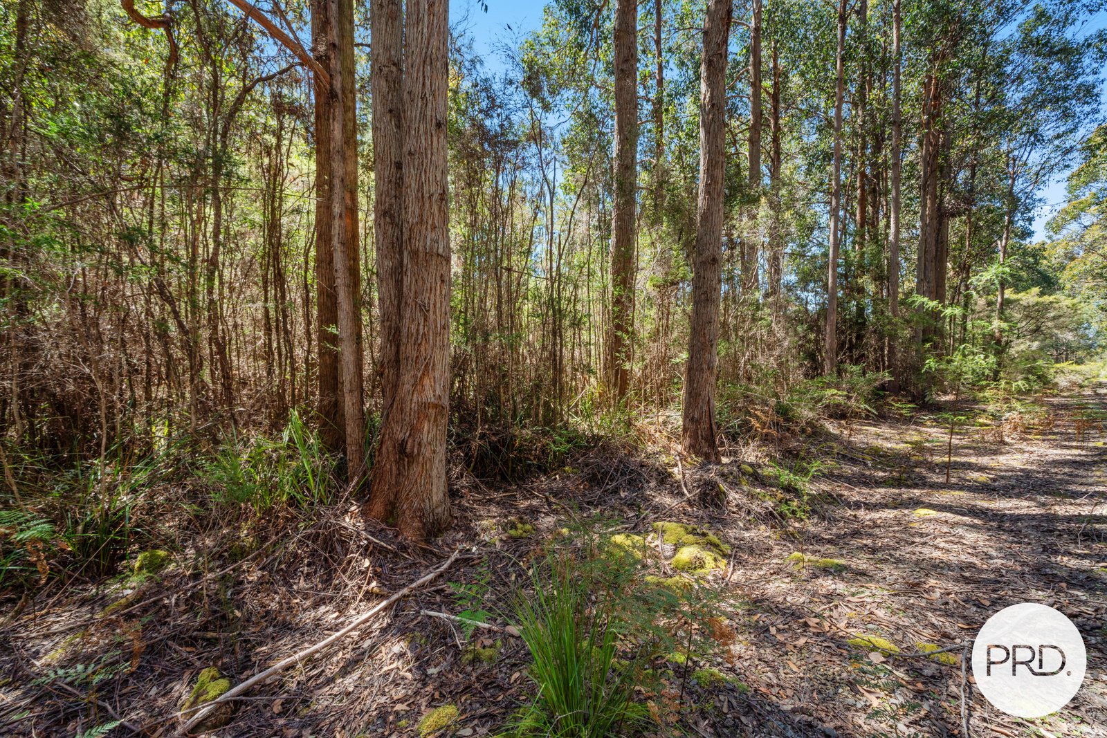 Off Gordon River Road TYENNA 7