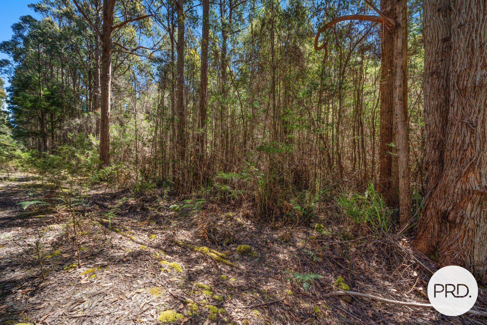 Off Gordon River Road TYENNA 8