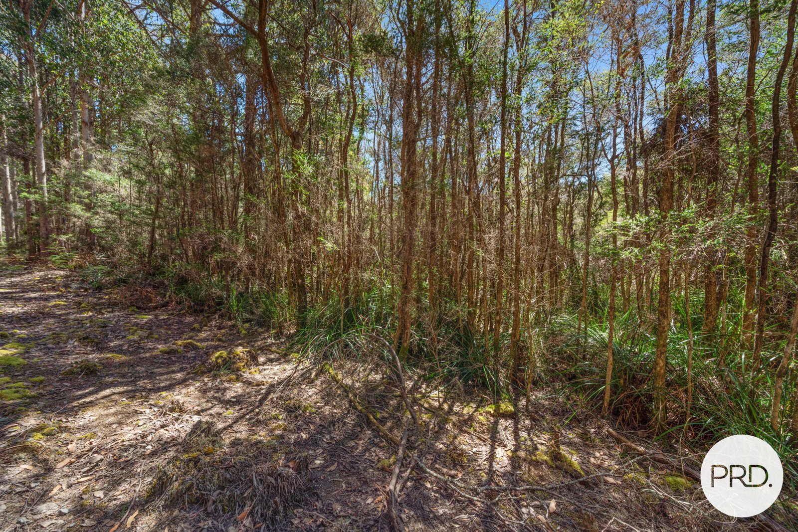 Off Gordon River Road TYENNA 10