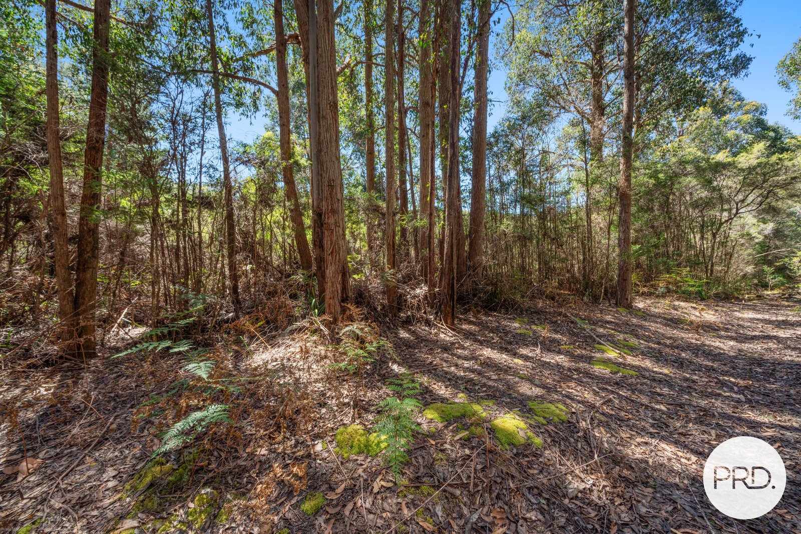 Off Gordon River Road TYENNA 11