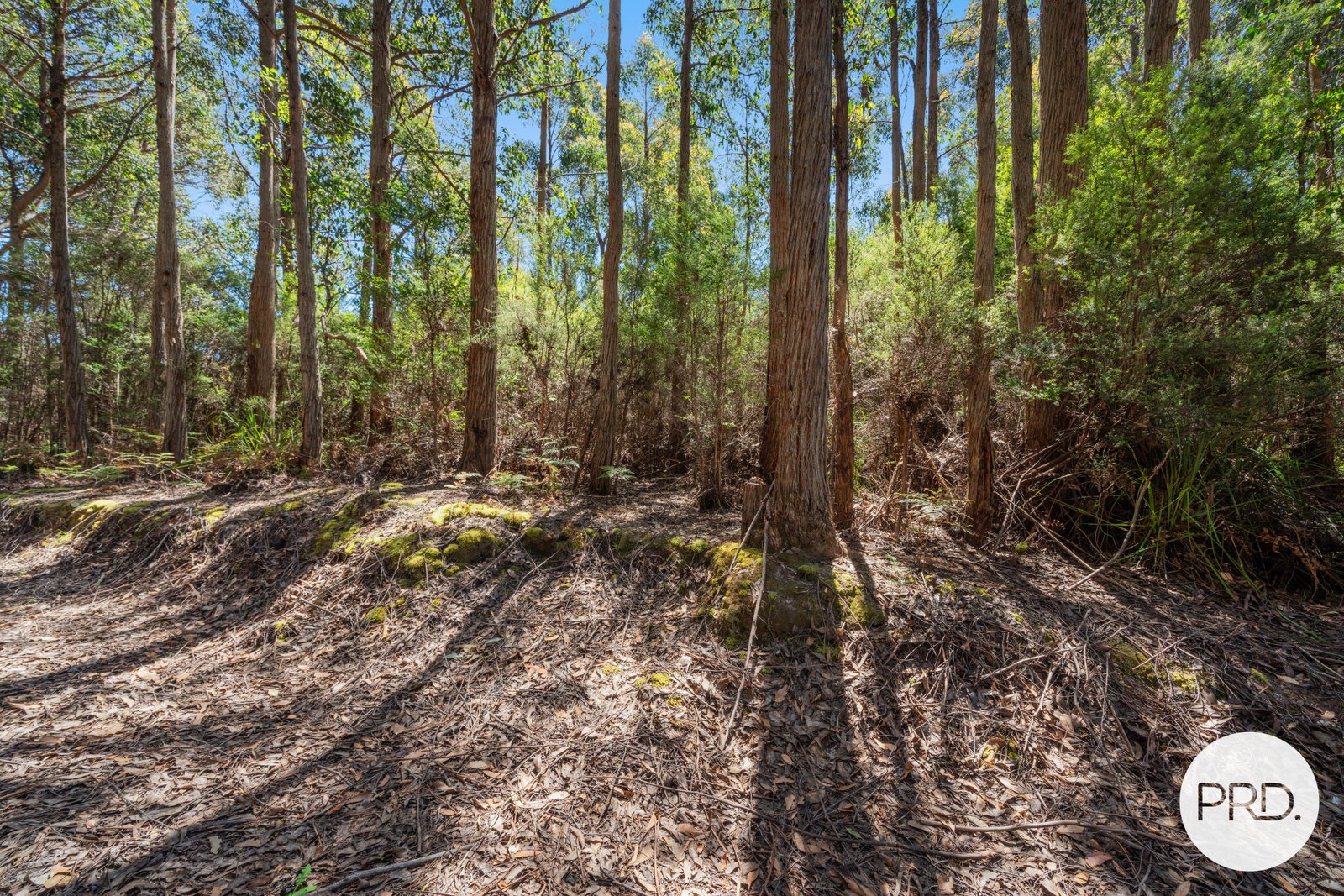 Off Gordon River Road TYENNA 12