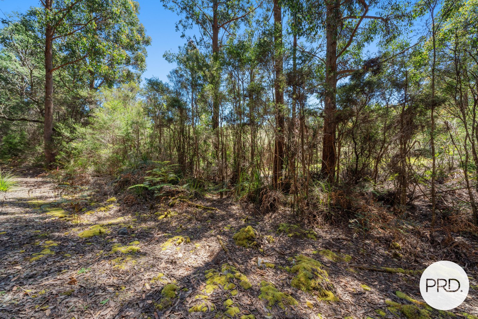 Off Gordon River Road TYENNA 13