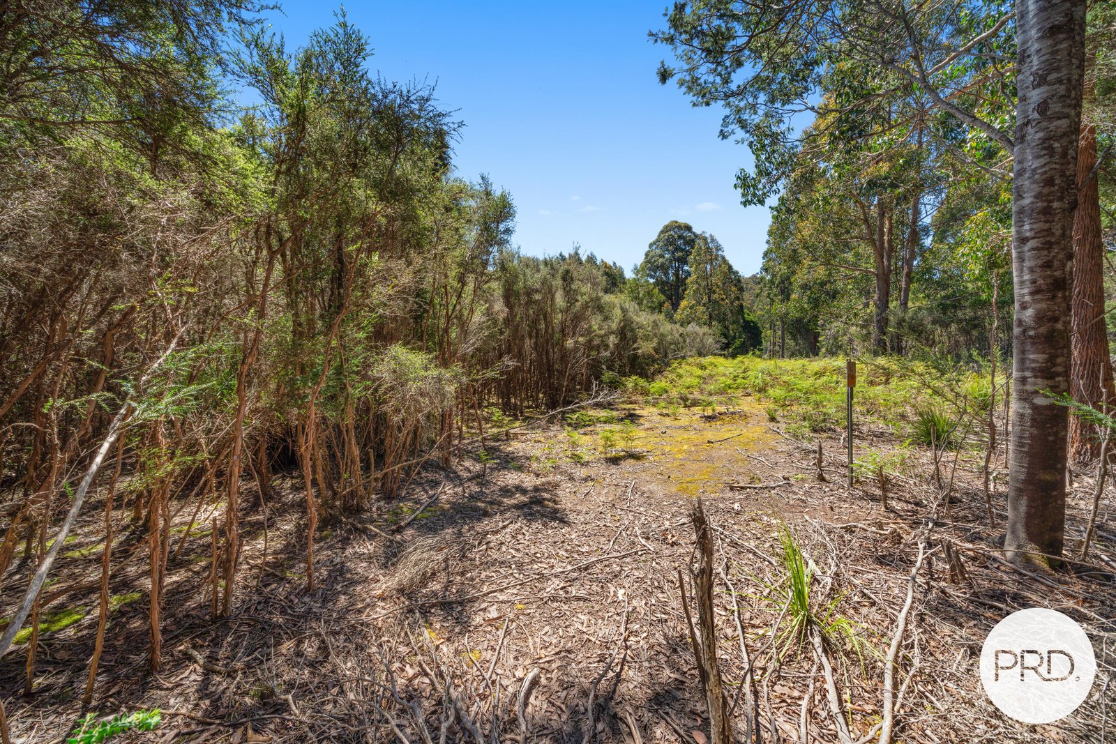 Off Gordon River Road TYENNA 14