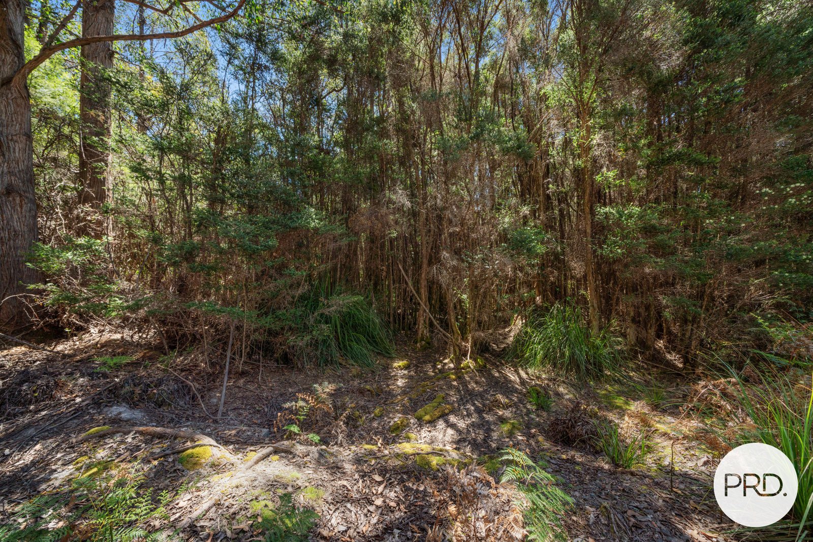 Off Gordon River Road TYENNA 15