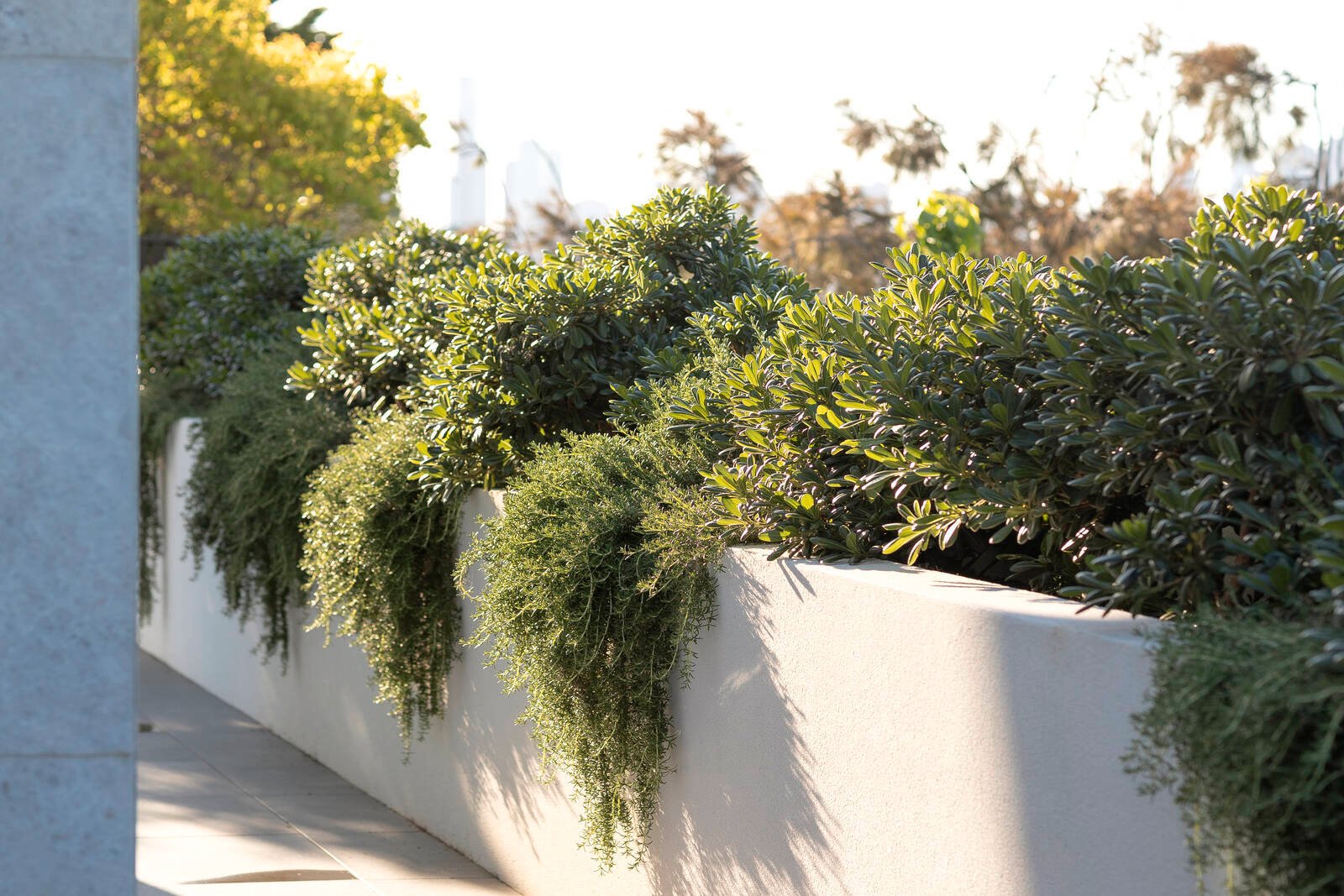 Real Estate and Property in Penthouse 26 Hill Street, Toorak, VIC