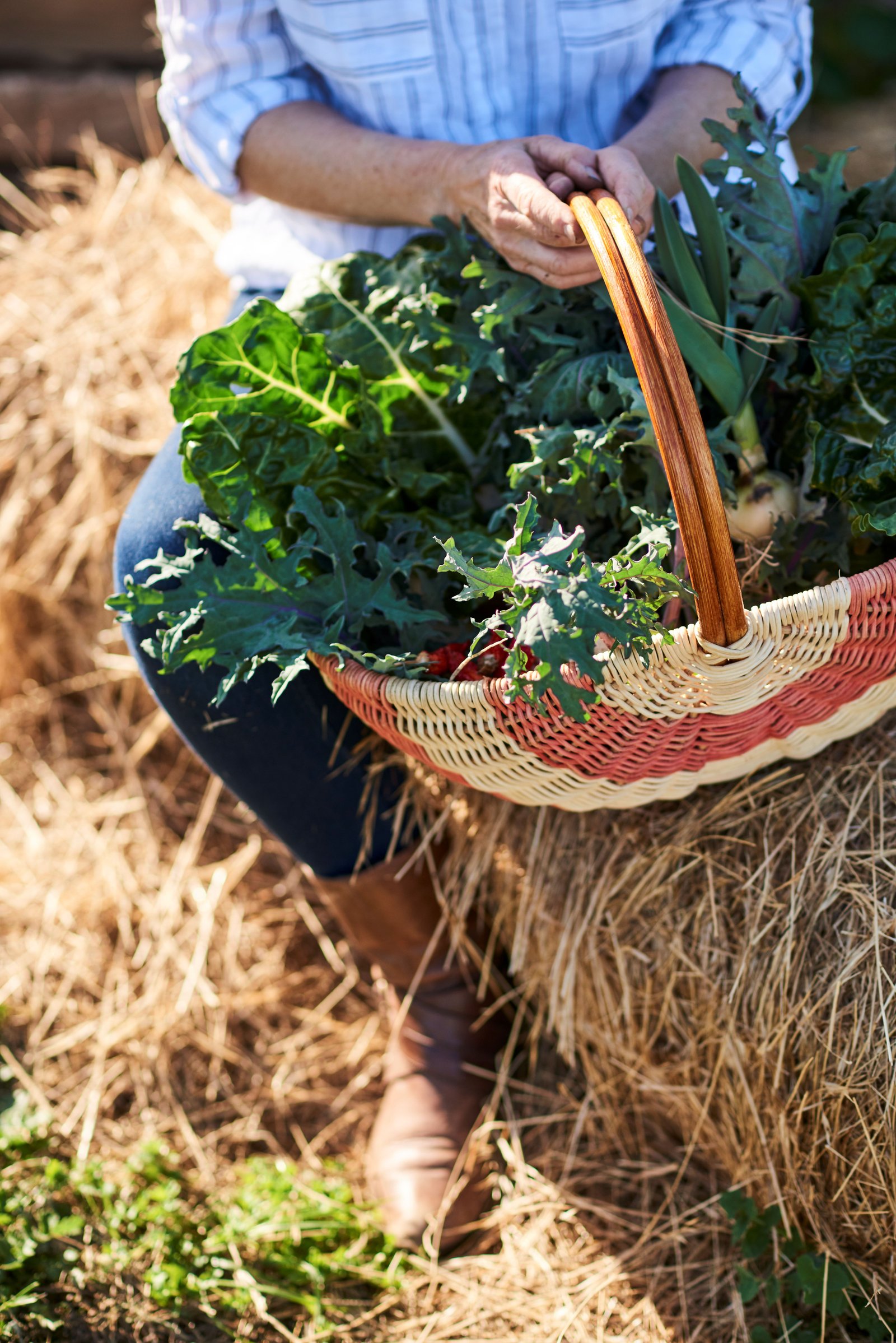 Real Estate and Property in Point Lonsdale, VIC