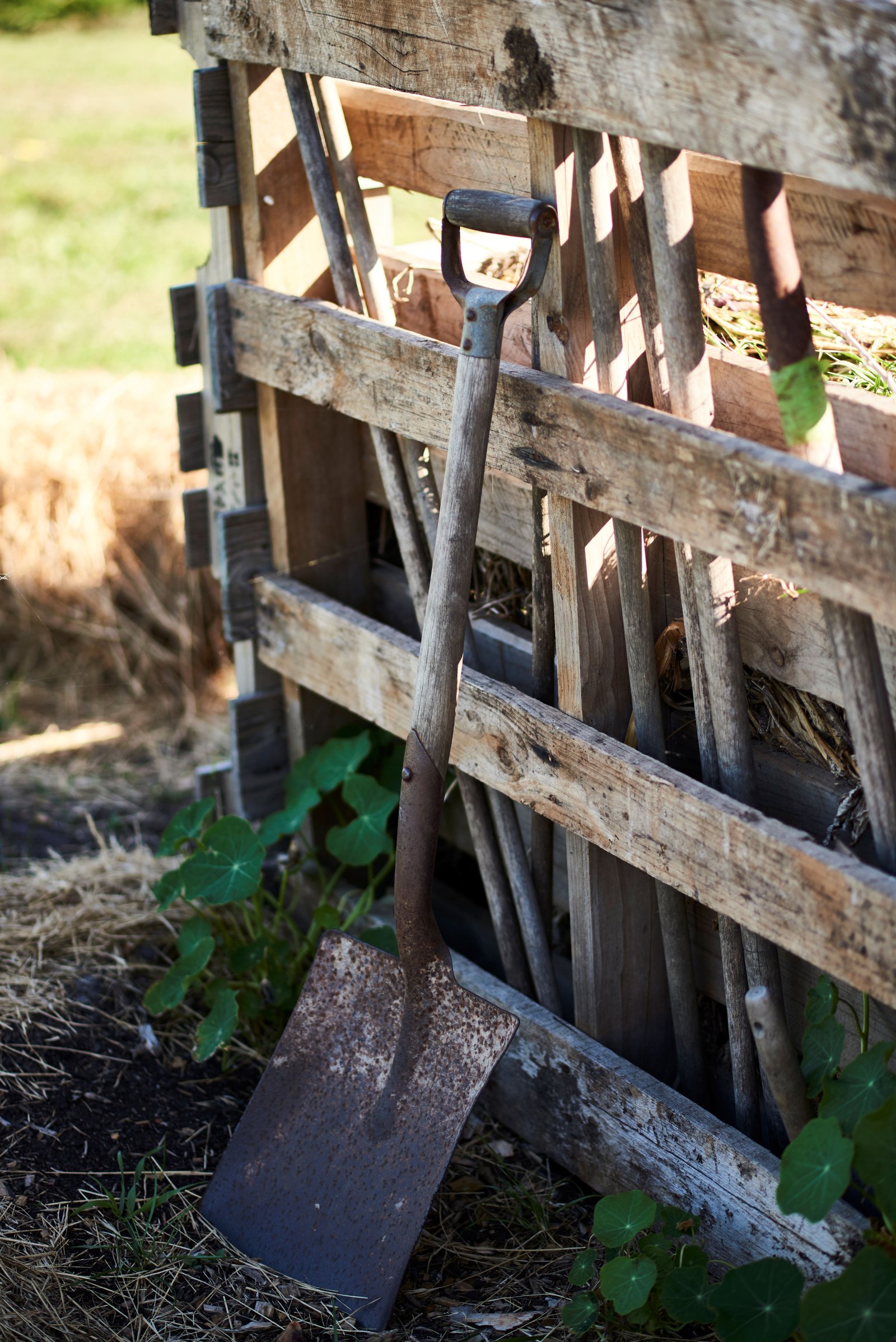 Real Estate and Property in Point Lonsdale, VIC