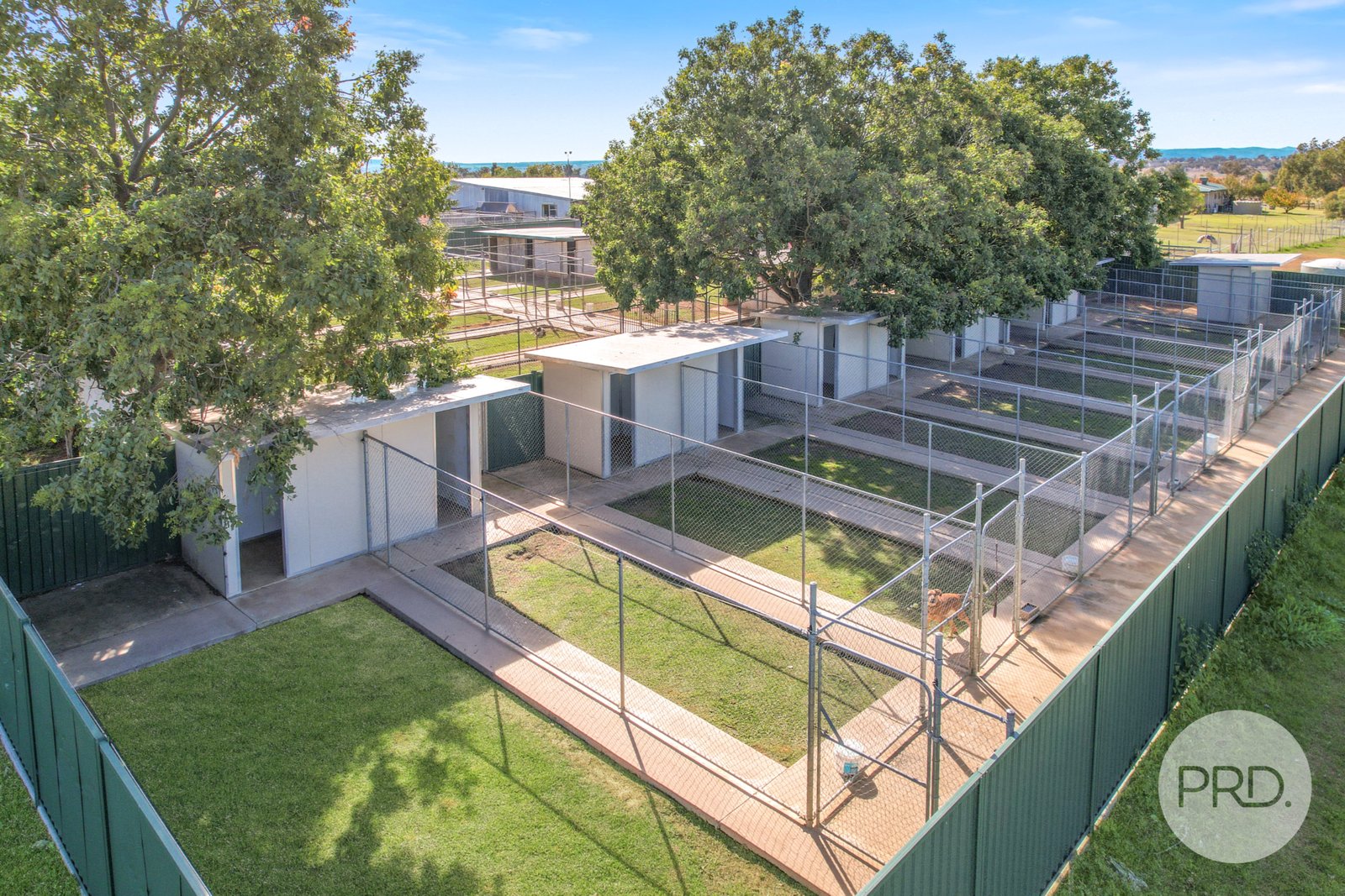 Boarding fashion kennels and cattery