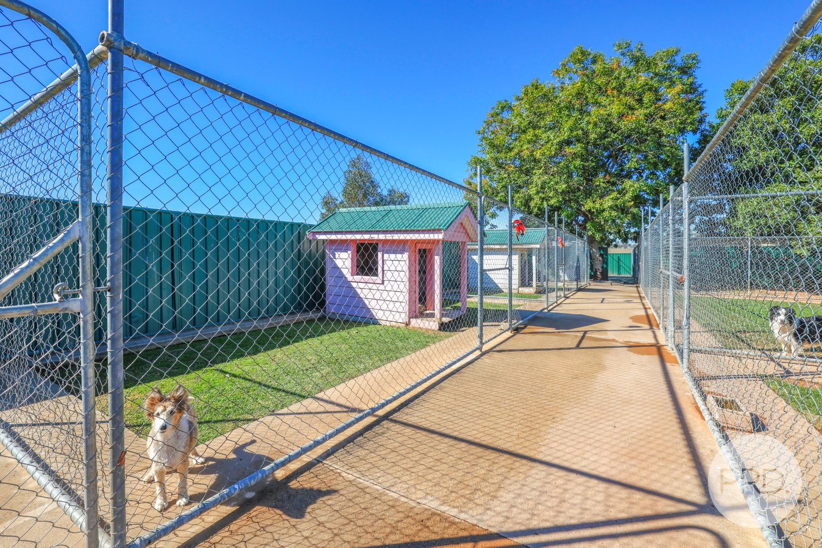 Precious Pets Boarding Kennel and Cattery  TAMWORTH 4