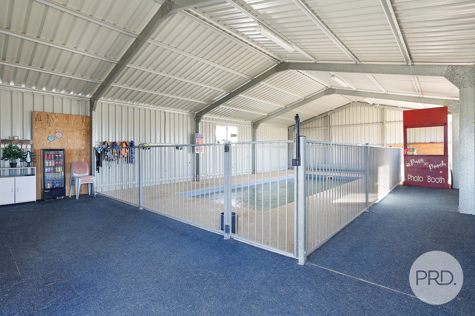 Precious Pets Boarding Kennel and Cattery  TAMWORTH 7