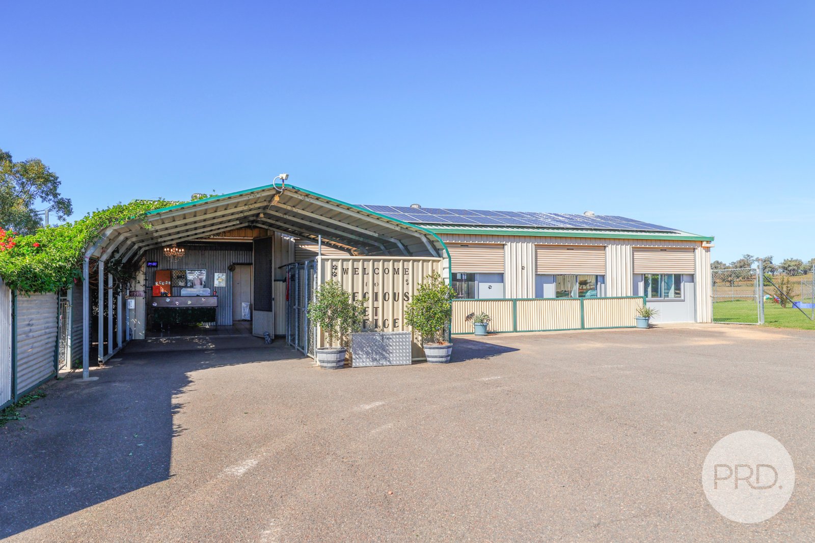 Precious Pets Boarding Kennel and Cattery  TAMWORTH 8