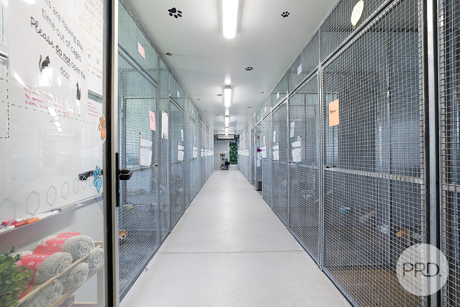 Precious Pets Boarding Kennel and Cattery  TAMWORTH 10