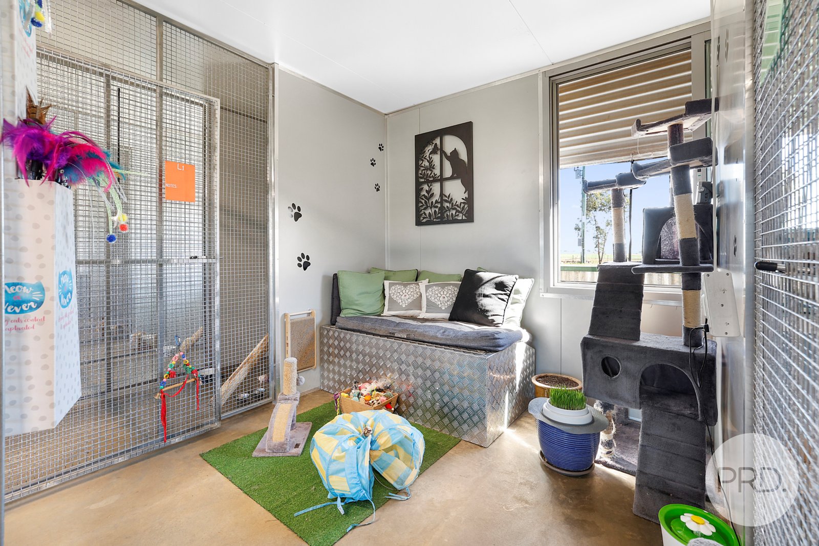 Precious Pets Boarding Kennel and Cattery  TAMWORTH 11