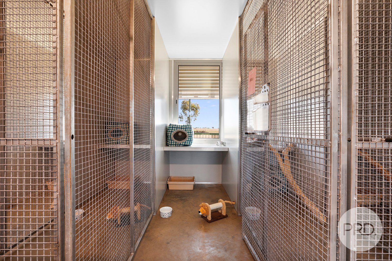 Precious Pets Boarding Kennel and Cattery  TAMWORTH 12
