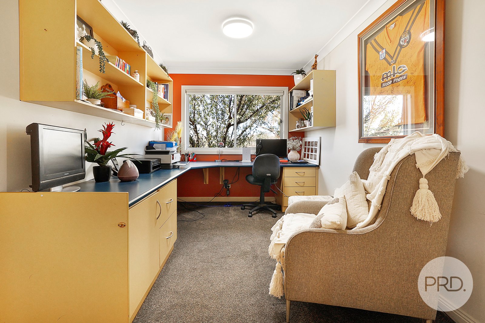 Precious Pets Boarding Kennel and Cattery  TAMWORTH 31