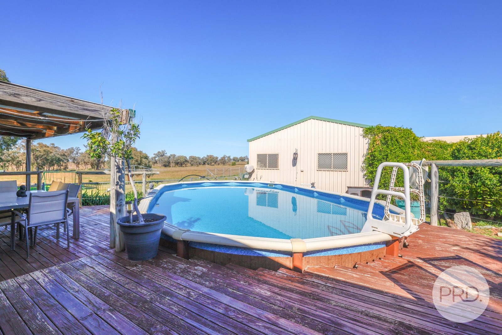 Precious Pets Boarding Kennel and Cattery  TAMWORTH 33