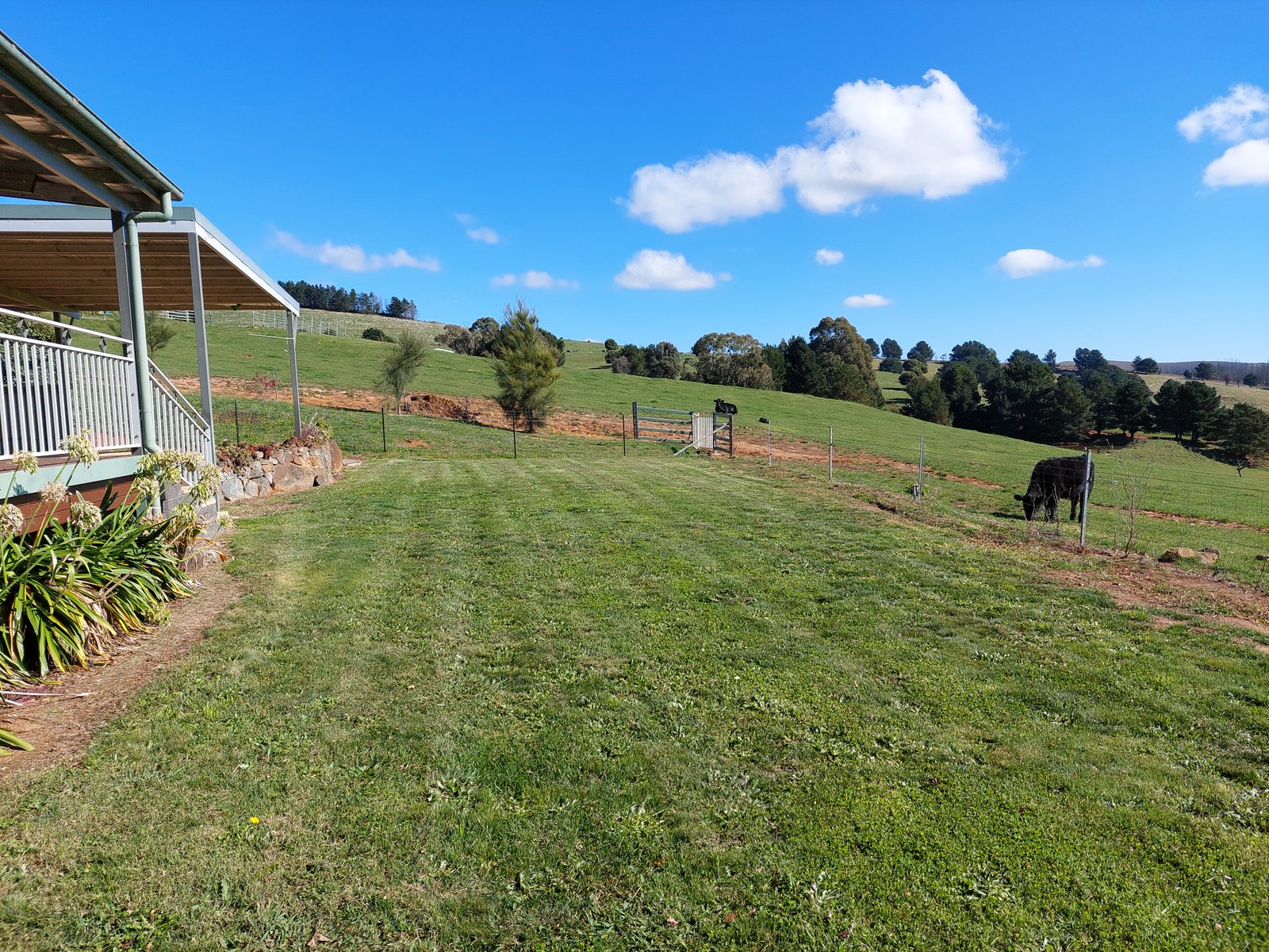 "ROCKLEA" 657 Old Tumbarumba Road BATLOW 18